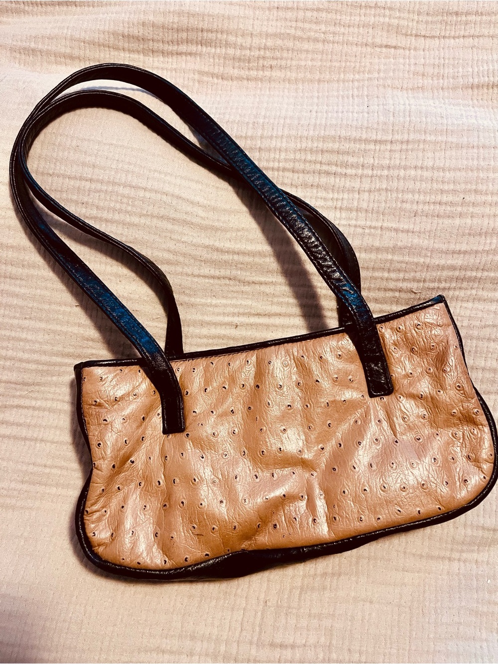 Clever Carriage Company Designer Bag